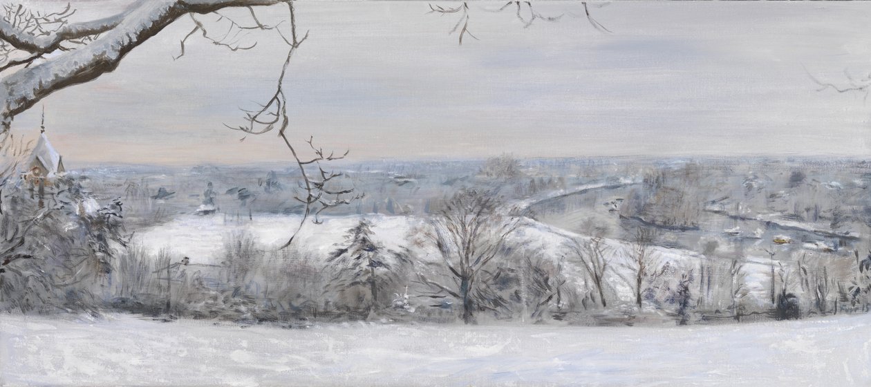 Bílé diamanty Richmond Hill Snow, 2015 (olej na plátně) od Christian Furr