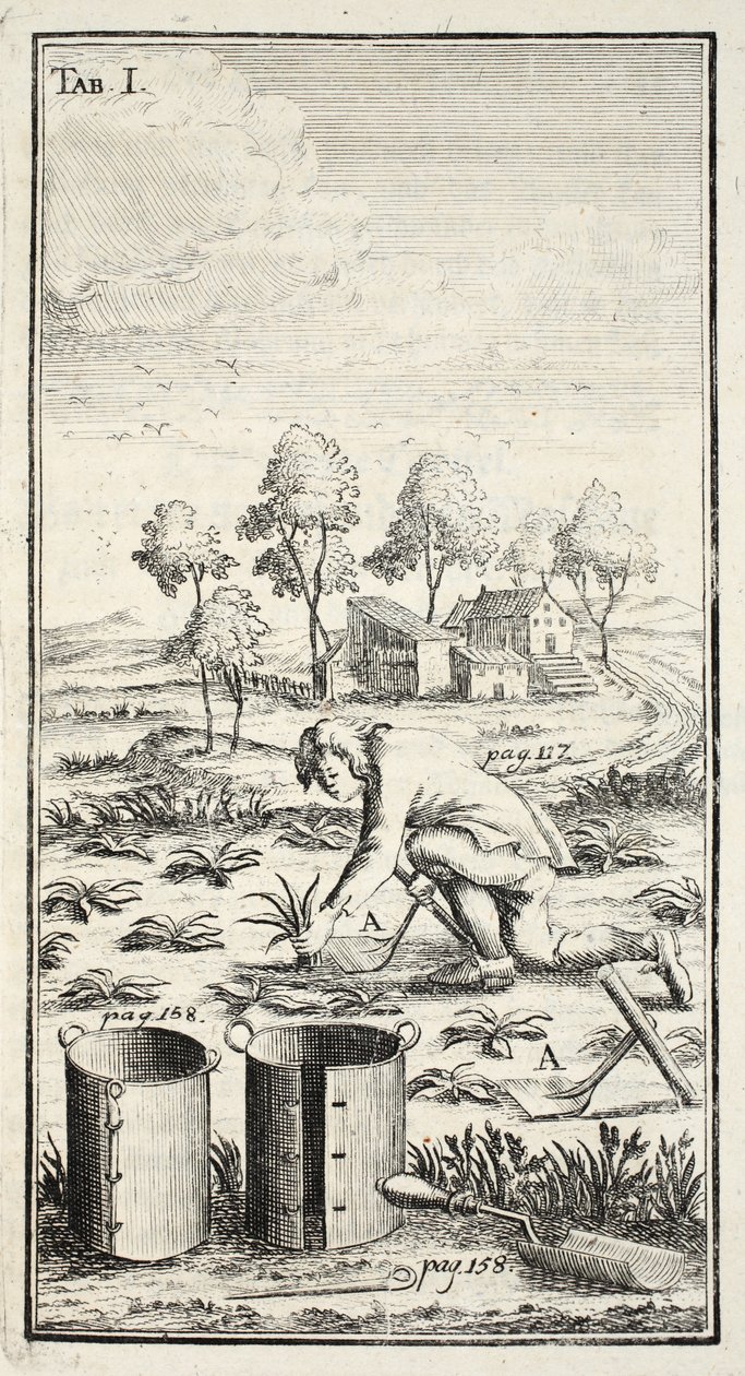 Zahrádkářská sklizeň, pub. Erfurt v Durynsku, 1753-55 od Christian Reicharts