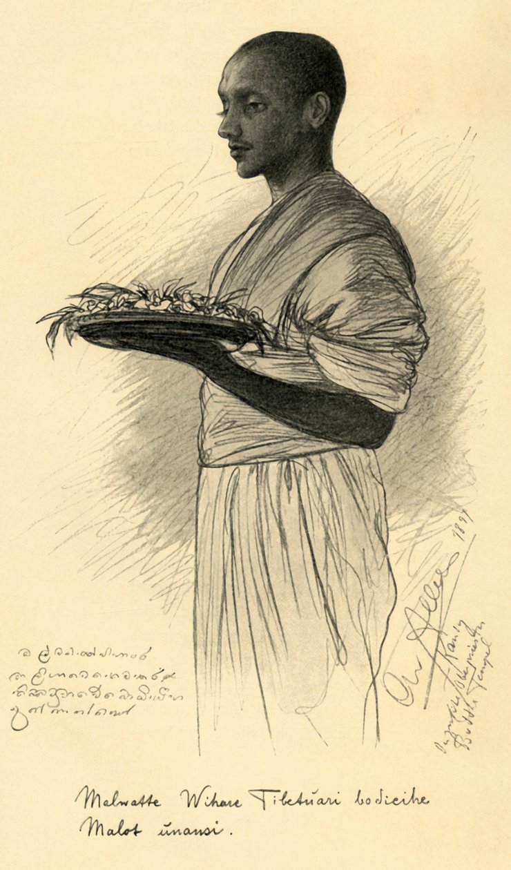 Buddhistický mnich, Cejlon, 1898. od Christian Wilhelm Allers