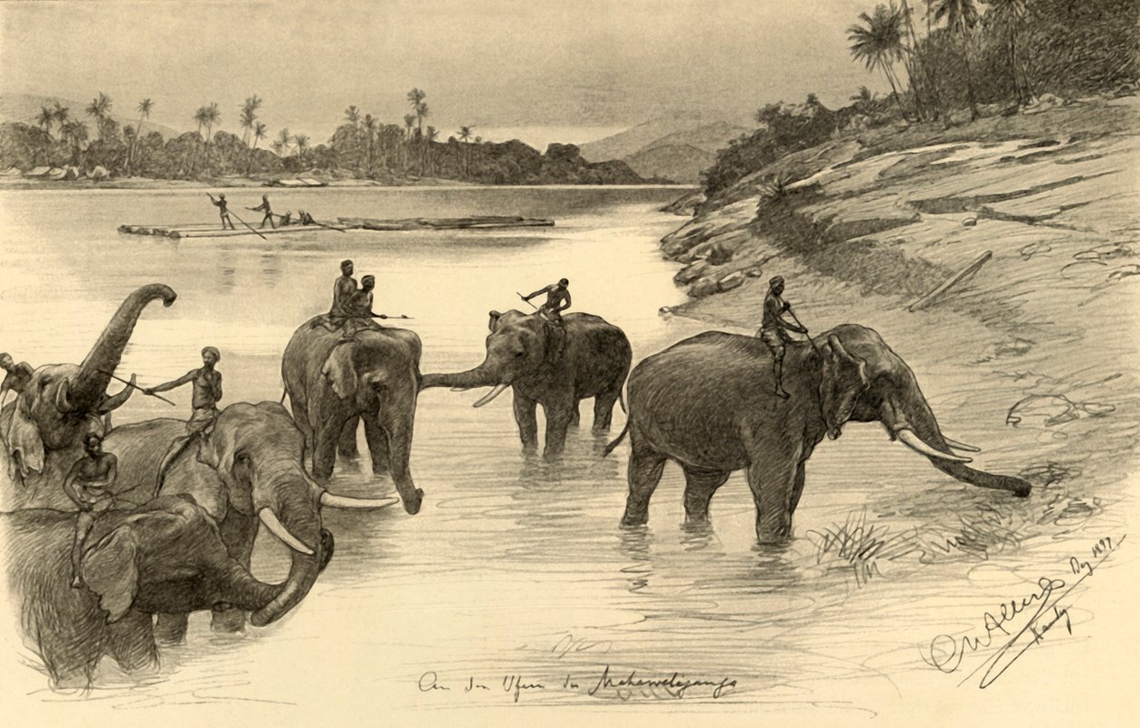 Sloni na březích řeky Mahaweli, Ceylon, 1898. od Christian Wilhelm Allers