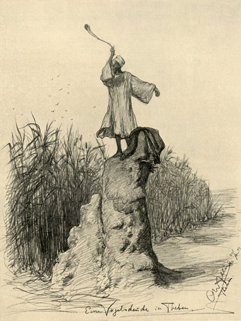 Muž straší ptáky, Théby, Egypt, 1898. od Christian Wilhelm Allers