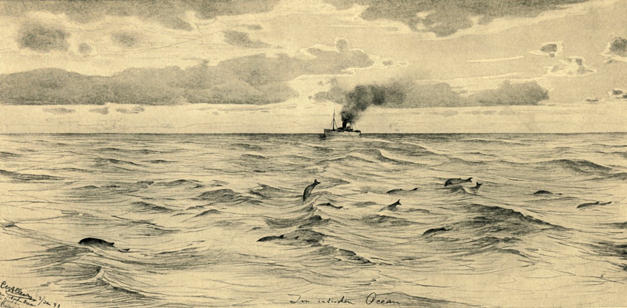 Parník na Indickém oceánu, 1898. od Christian Wilhelm Allers