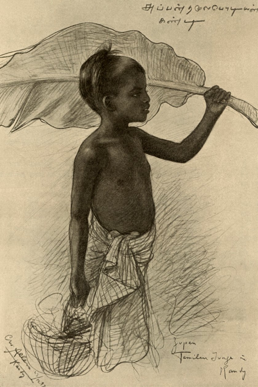 Tamilský chlapec, Kandy, Ceylon, 1898. od Christian Wilhelm Allers