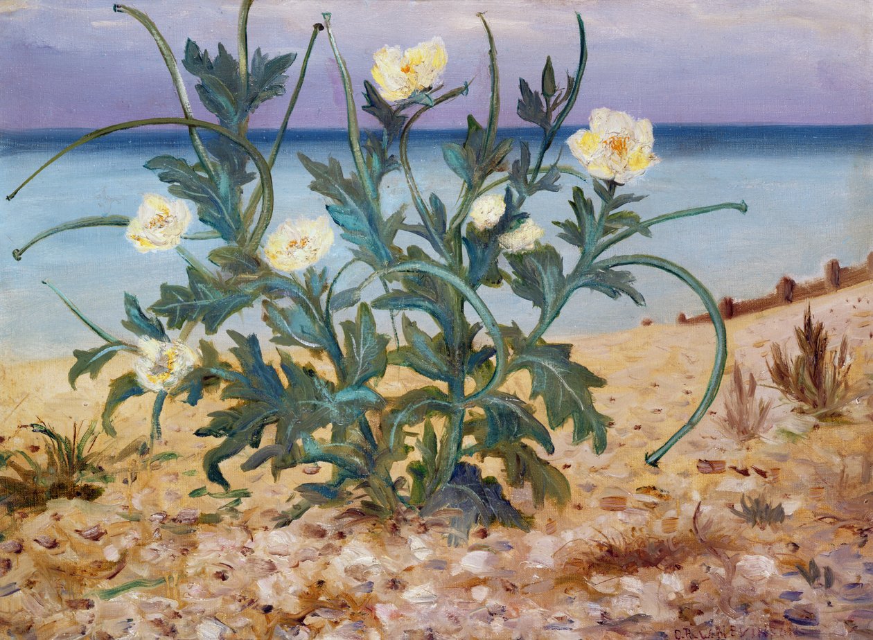 Písečné duny, východní pobřeží, 1944 od Christopher Richard Wynne Nevinson