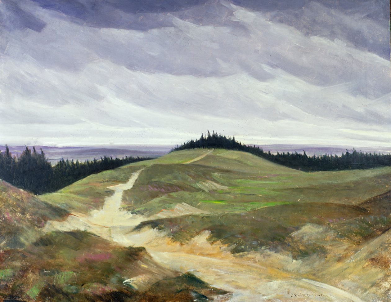 Sandy Path od Christopher Richard Wynne Nevinson
