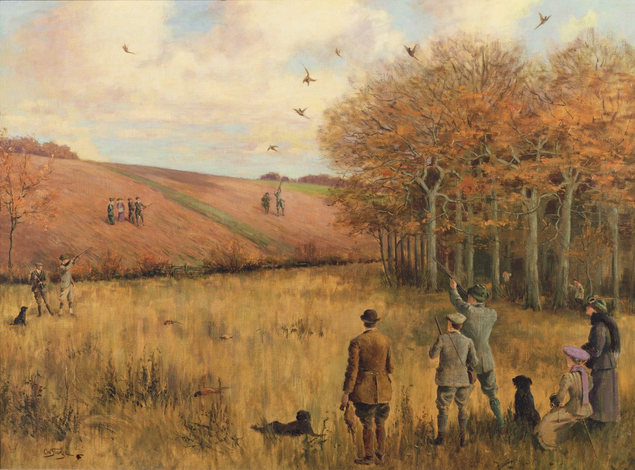 Střelba na bažanty od Christopher William Strange