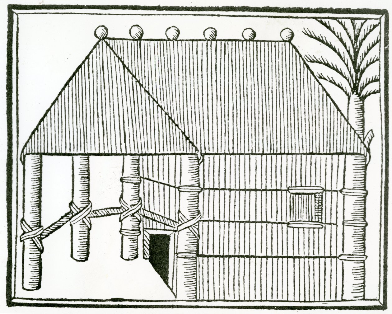 Indické bydlení z „Obecné historie Indie“ 1547 od Christopher Columbus