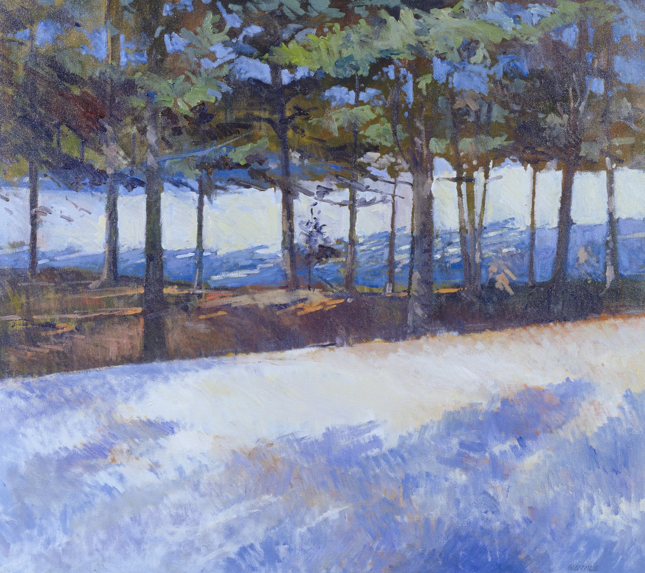 Frozen Lake, New Yorkin osavaltio (öljy kankaalle) od Christopher Glanville