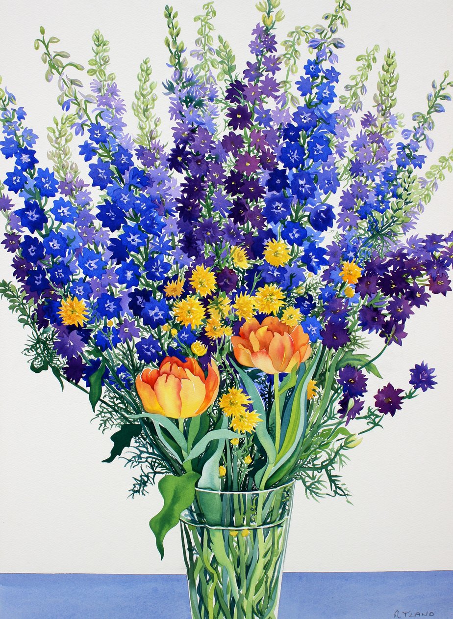 Larkspur a Delphiniums (akvarel na papíře) od Christopher Ryland