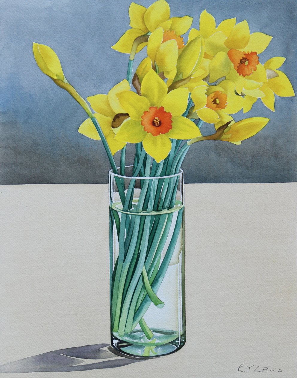 Supermarket Daffodils, 2022 (akvarel na papíře) od Christopher Ryland