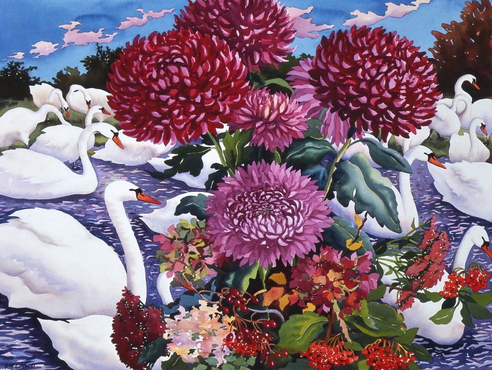 Labutě a chryzantémy, 2005 (akvarel na papíře) od Christopher Ryland