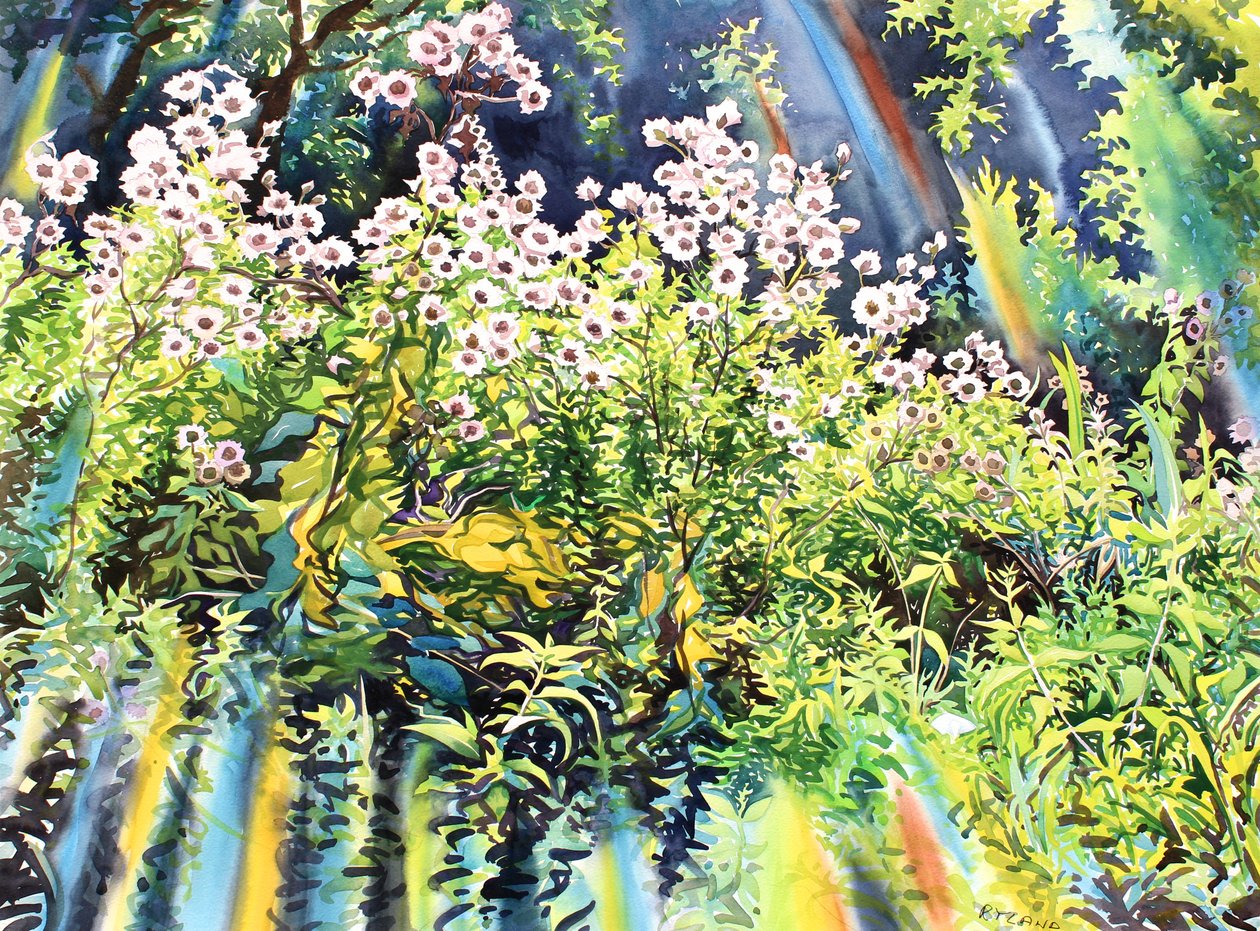 Thistledown, 2016 (akvarel na papíře) od Christopher Ryland