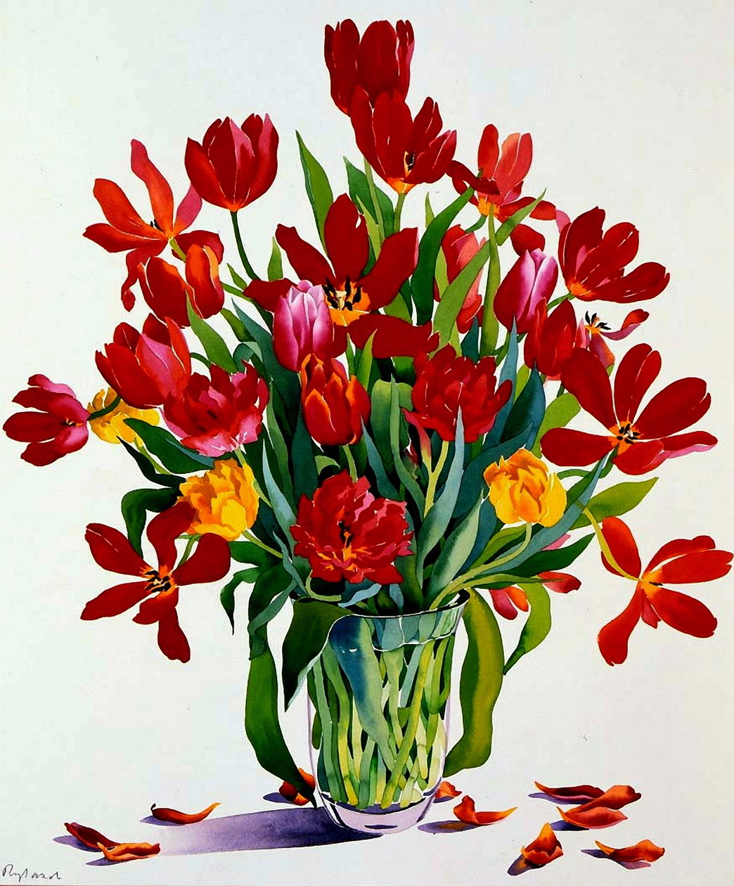 Tulipány (wc na papíře) od Christopher Ryland