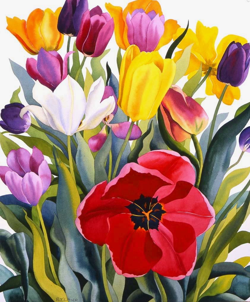 Tulipány, 2007 (akvarel na papíře) od Christopher Ryland