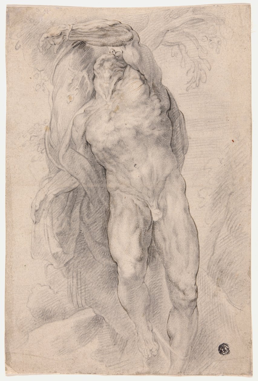 Mužský akt přivázaný ke stromu od Circle of Peter Paul Rubens