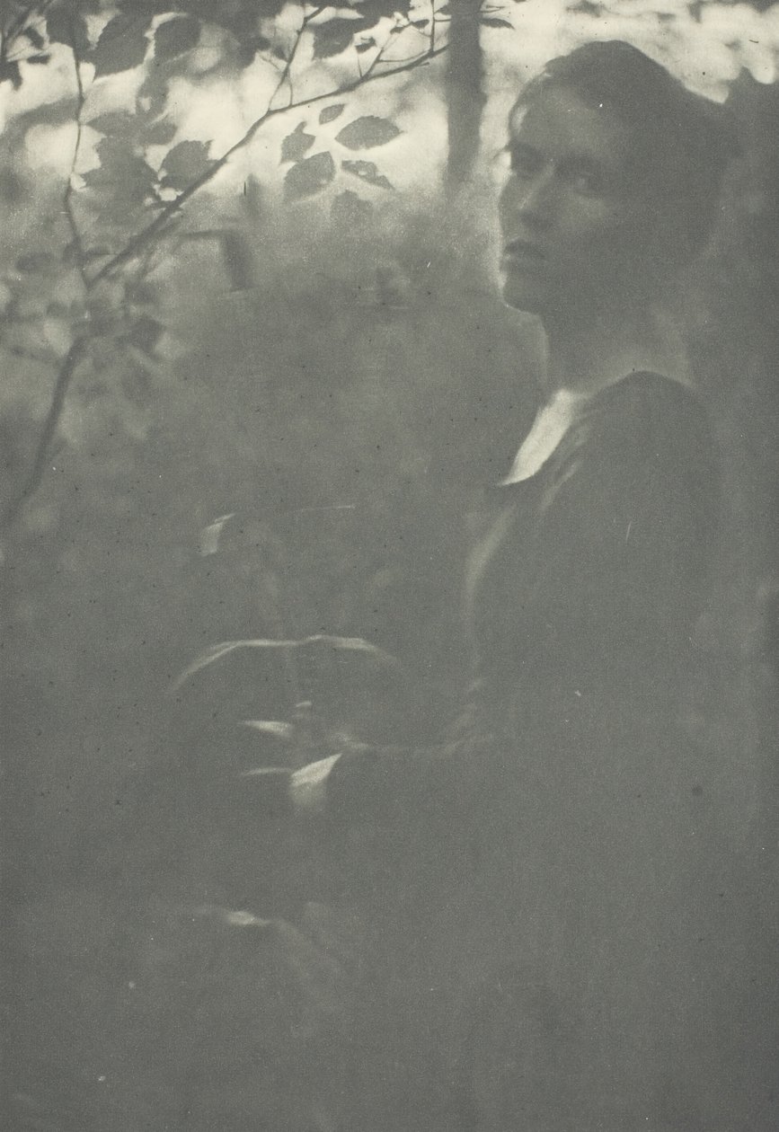 Edge of Woods, c. 1899. od Clarence H White