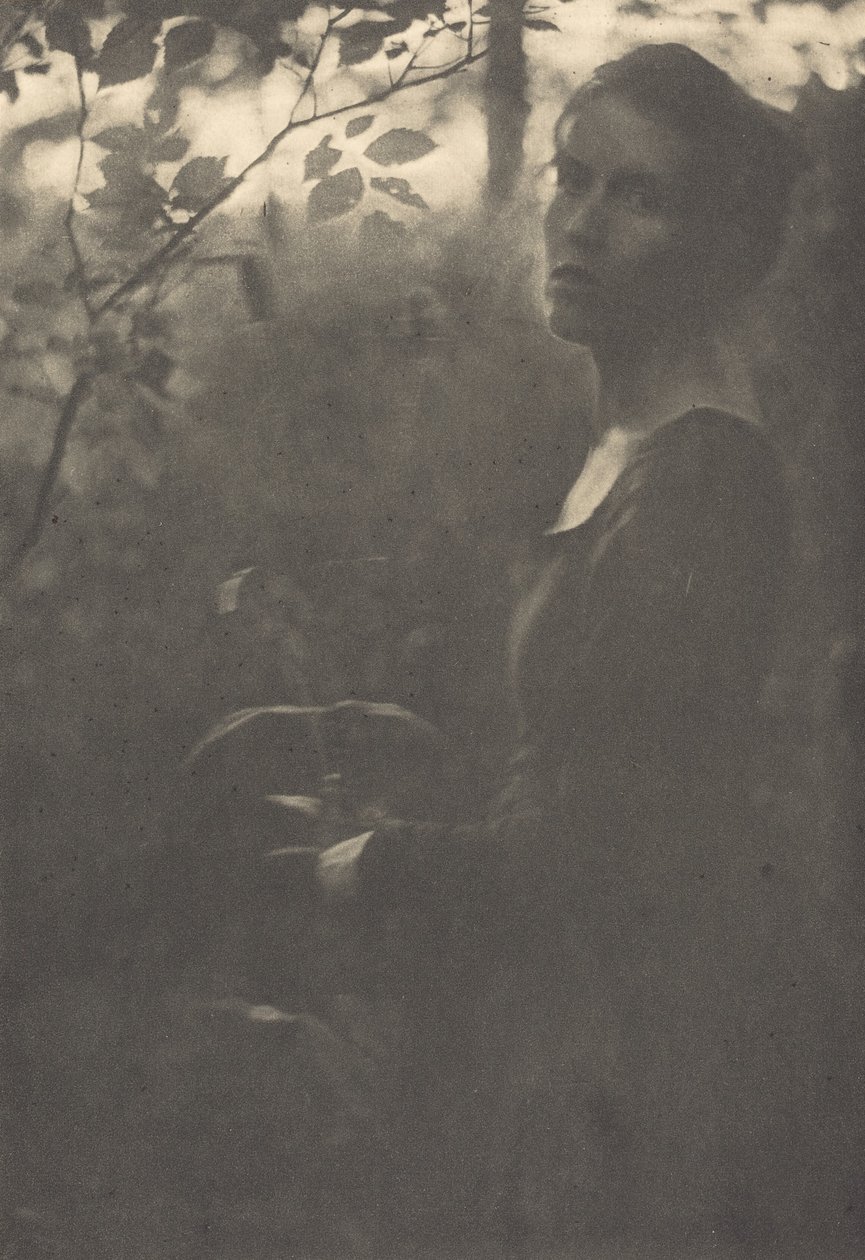 Edge of the Woods, večer, 1900. od Clarence H White