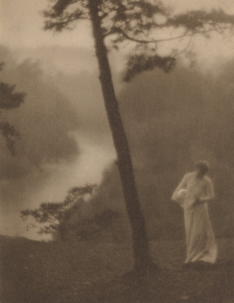 Ráno, kolem roku 1905. od Clarence H White