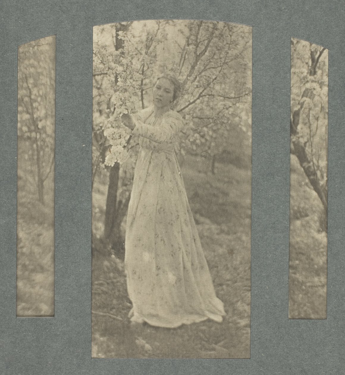 Jaro od Clarence H. White