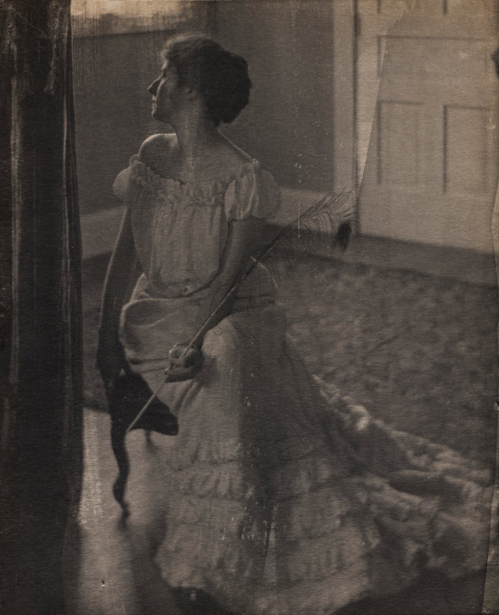 Paví pero, c. 1902. od Clarence H. White