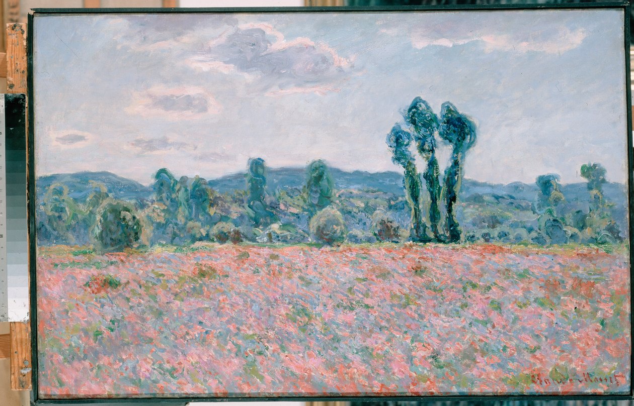 Poppy Field Polski: Pole makow od Claude Monet