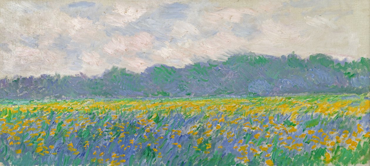 Pole žlutých kosatců v Giverny, 1887 od Claude Monet