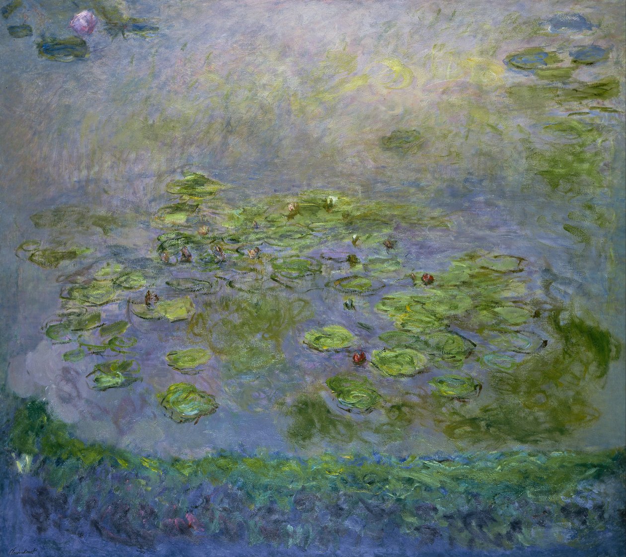 Nymphéas (lekníny) od Claude Monet