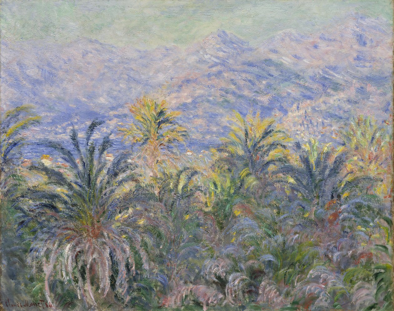 Palmy v Bordighera od Claude Monet