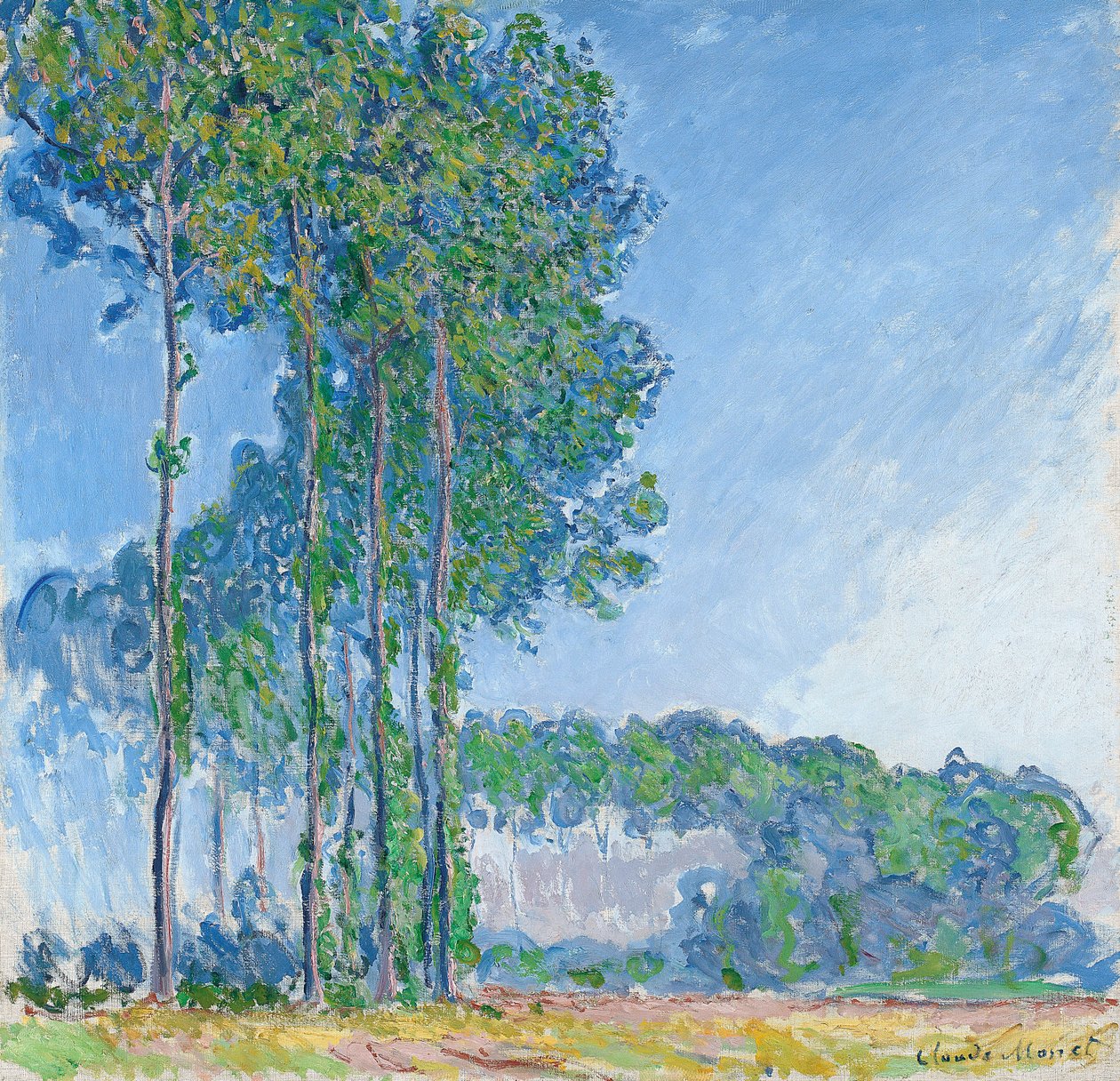 Topoly, 1891 od Claude Monet