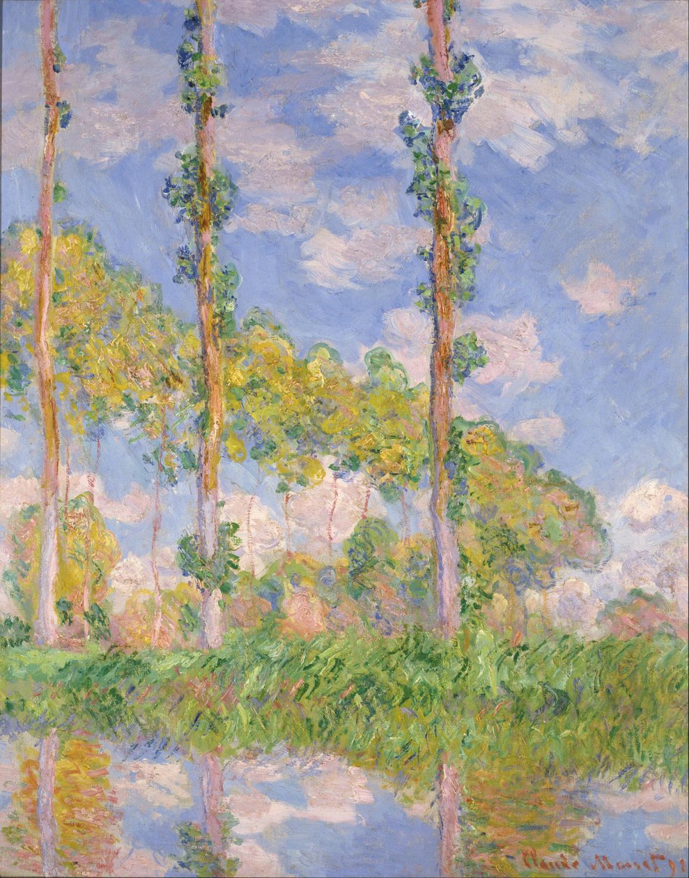 Topoly na slunci od Claude Monet