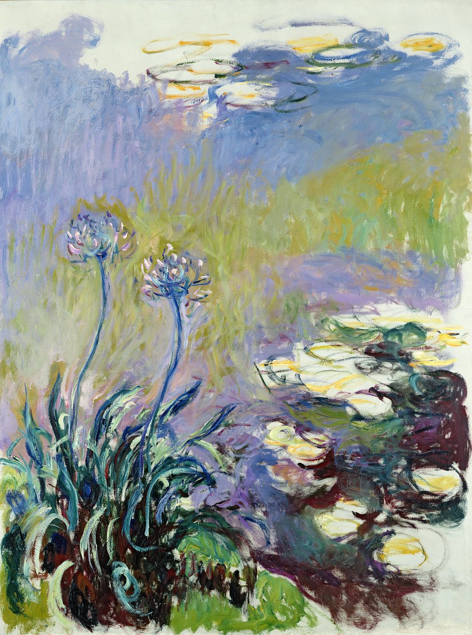 Agapanthus, 1914-17 od Claude Monet