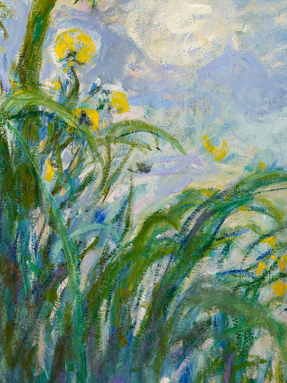 Detail žluté kosatce 154652 olej na plátně od Claude Monet
