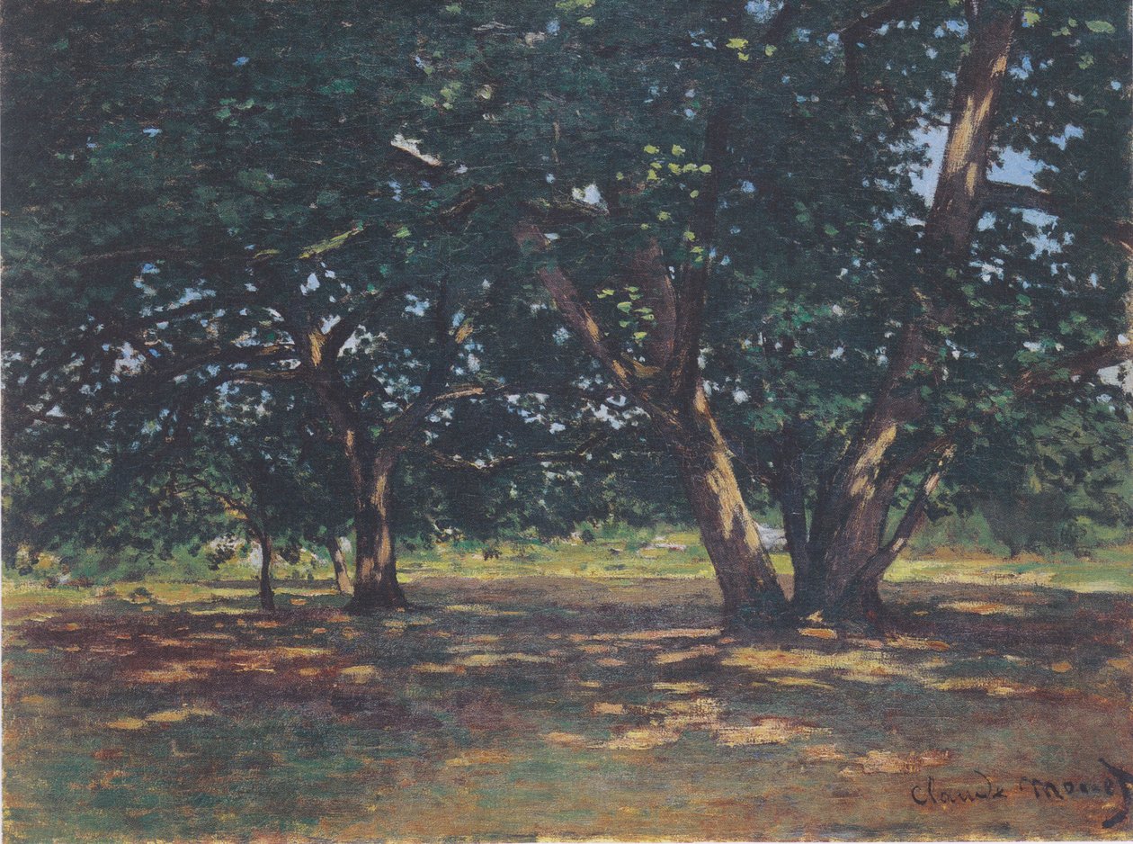 Les Fontainebleau od Claude Monet