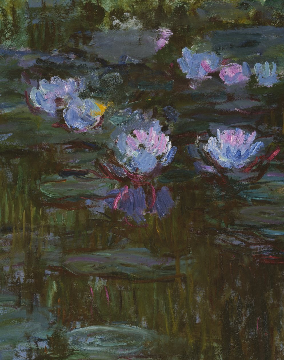 Lekníny, 1914-17 detail 158601 olej na plátně od Claude Monet