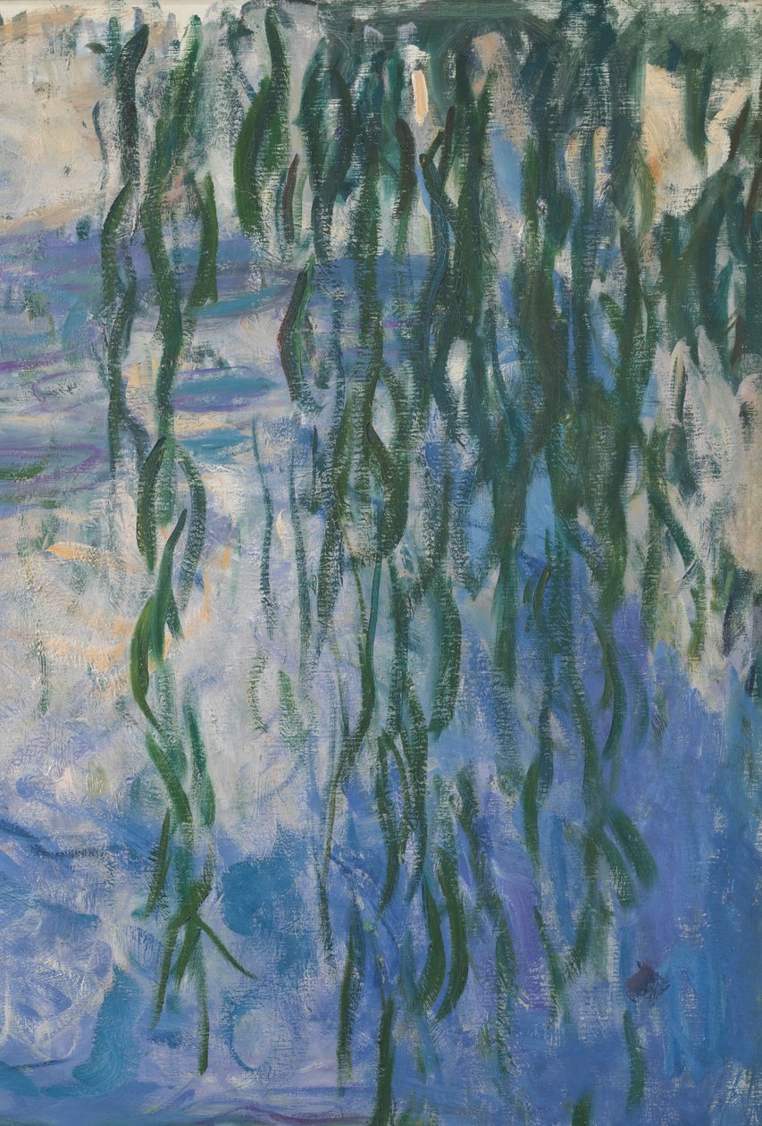 Lekníny, 1916-19 detail olej na plátně z roku 161015 od Claude Monet