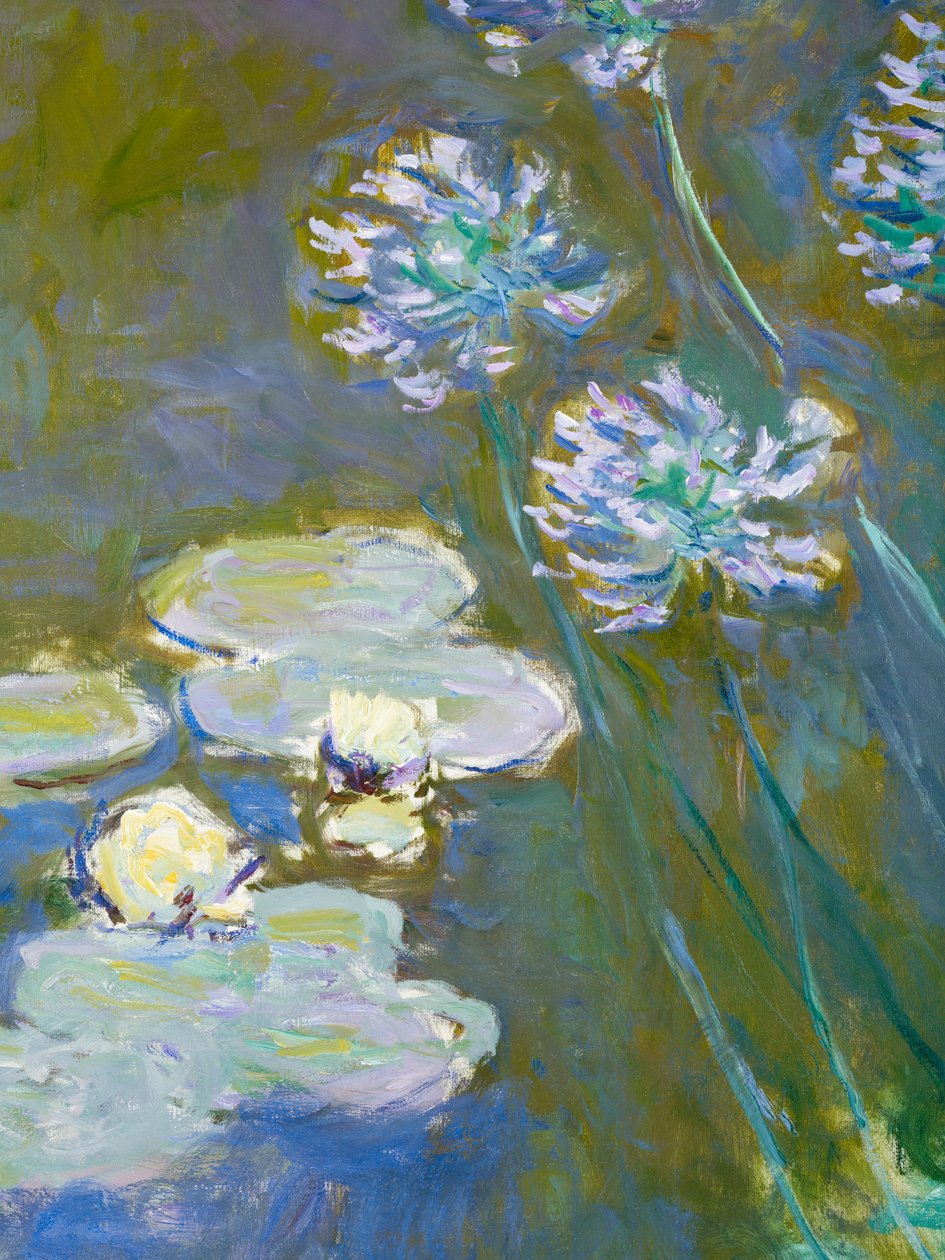 Lekníny a Agapanthus, 1914-17 detail 82323 olej na plátně od Claude Monet