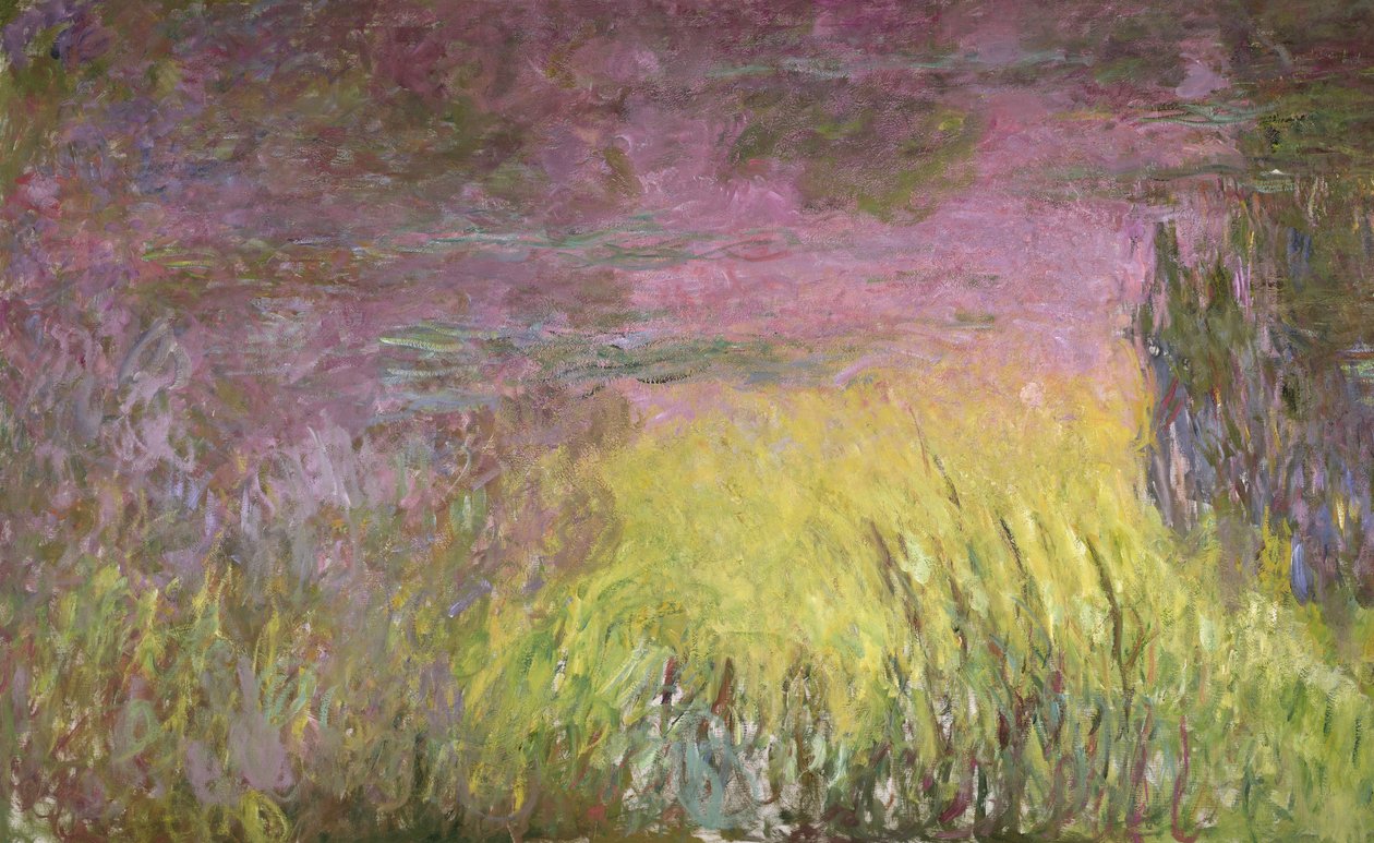 Lekníny při západu slunce, 1915-26 (detail levé strany) od Claude Monet