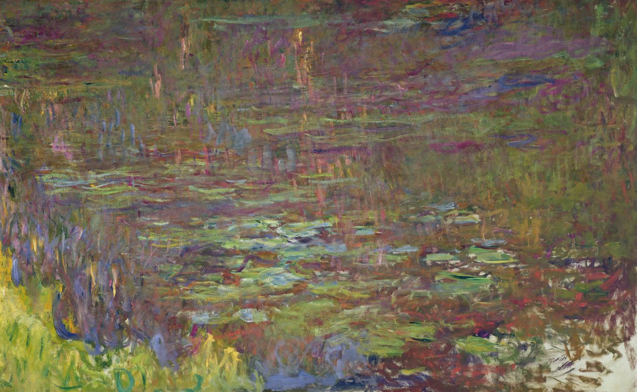 Lekníny při západu slunce, detail z pravé strany, 1915-26 od Claude Monet