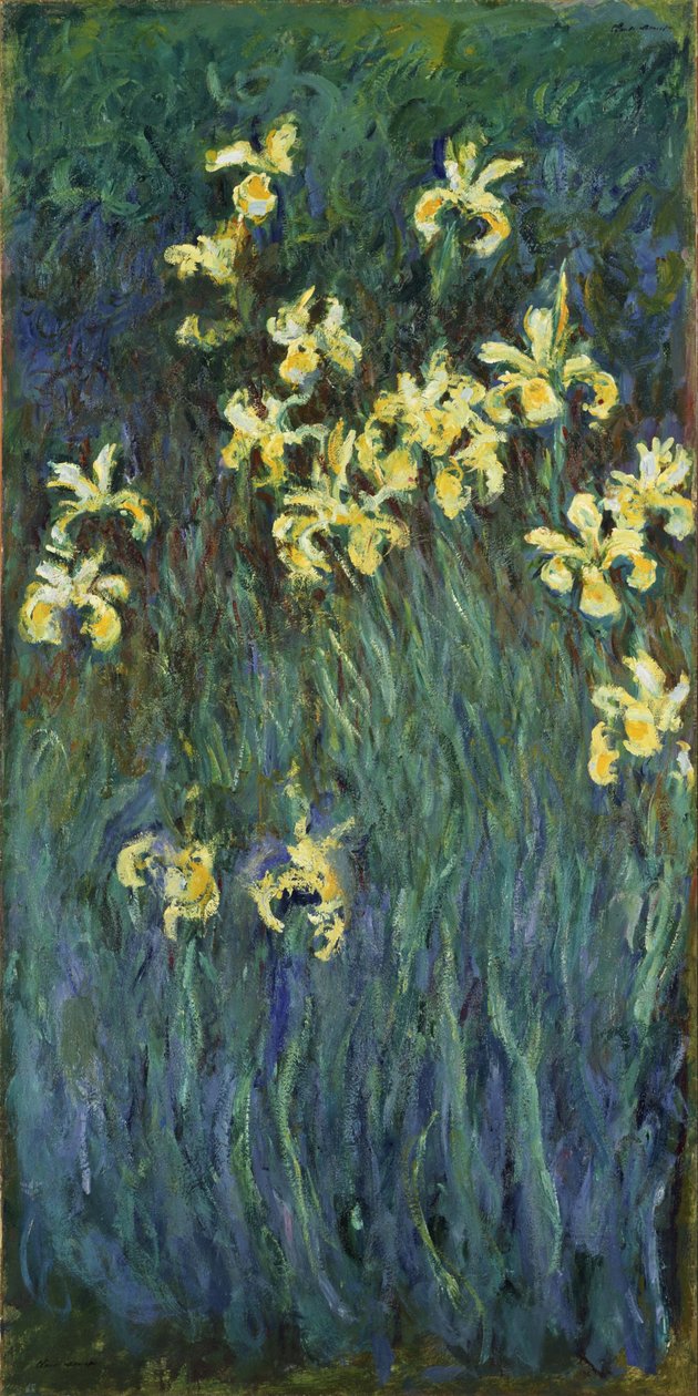 Žluté kosatce od Claude Monet