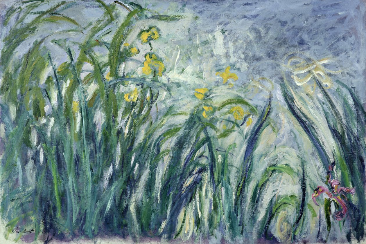Žluté a fialové kosatce, 1924-25 (viz detail 414407) od Claude Monet