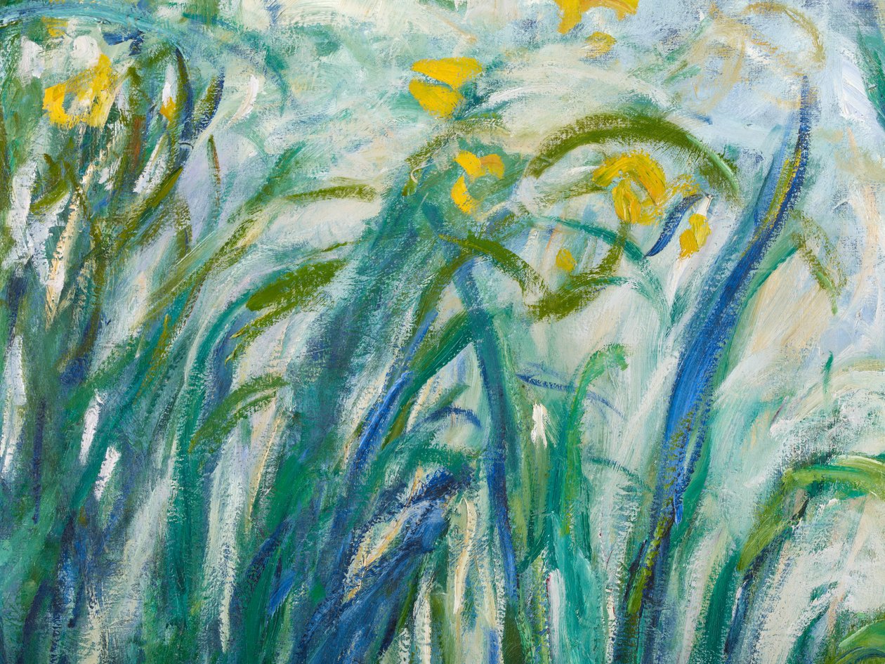 Žluté a fialové kosatce, 1924-25 detail 169490 olej na plátně od Claude Monet