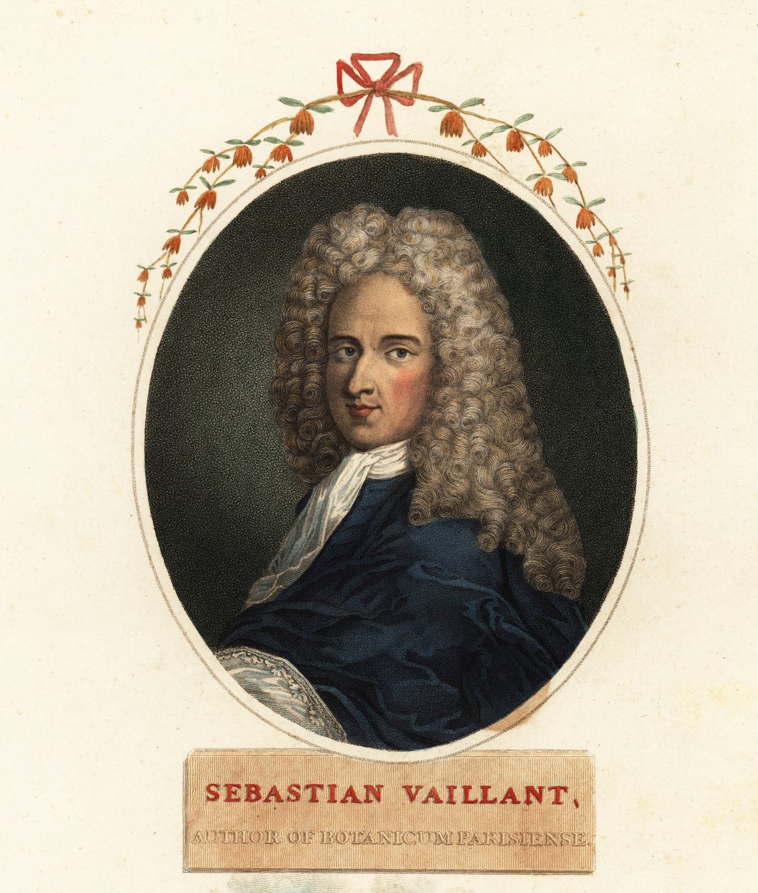 Portrét Sebastiana Vaillanta, francouzského botanika od Claude Aubriet