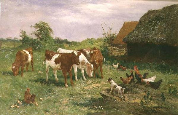Zvědavost od Claude Cardon