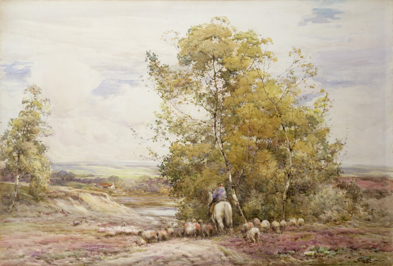 Dorsetský pastorační od Claude Hayes