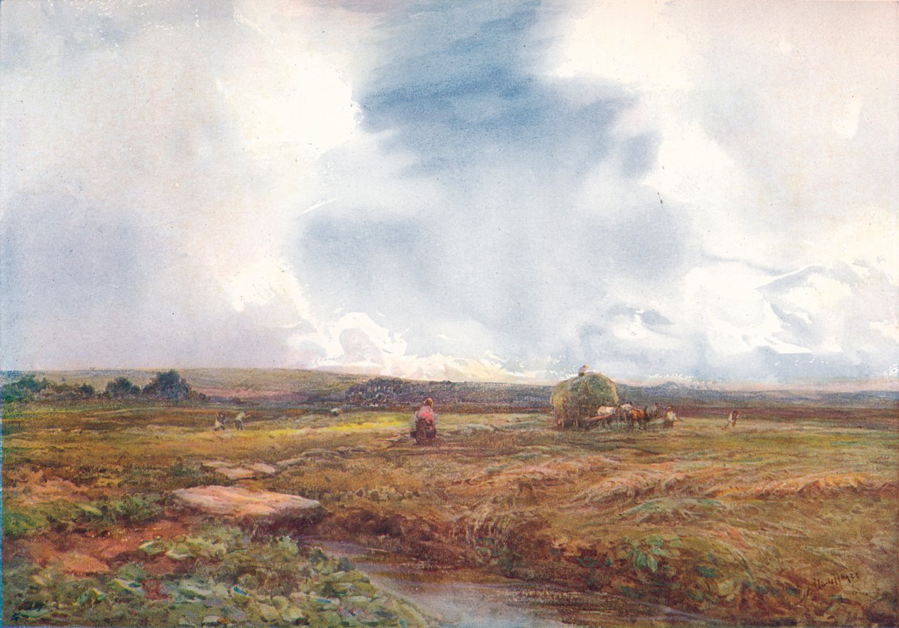 Hayfield, 1872-1906, 1906. od Claude Hayes