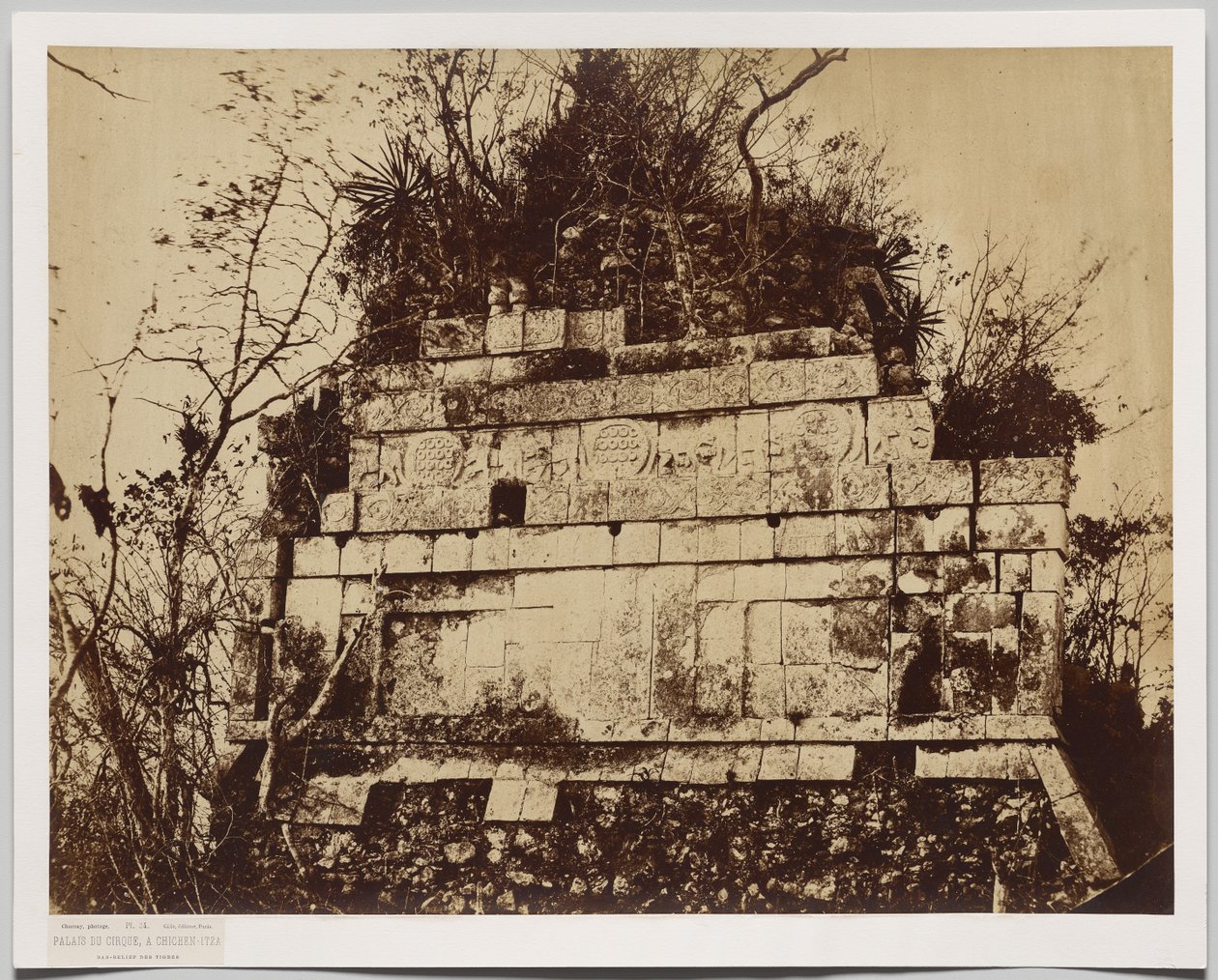 Palác cirkusu v Chichen-Itza (basreliéf tygrů) od Claude Joseph Désiré Charnay