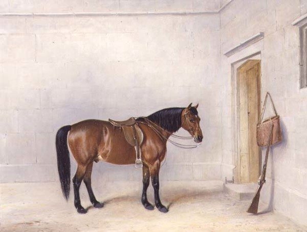 Saddled Bay Střelba Pony od Claude L. Ferneley