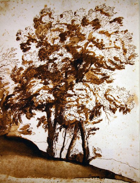 Skupina stromů na slunci (pero, inkoust a mytí na papíře) od Claude Lorrain