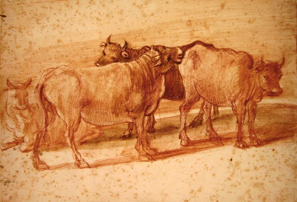Krávy (červená křída na papíře) od Claude Lorrain