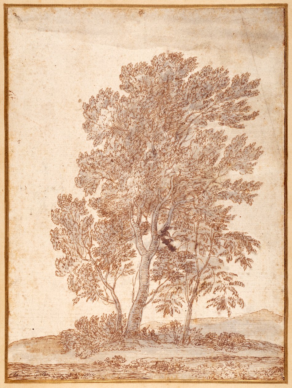 Tři stromy (pero a hnědý inkoust s šedou barvou na papíře) od Claude Lorrain